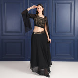 Women's Sequins Motifs Embellished Lehnga Choli Set